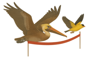 Nature illustration